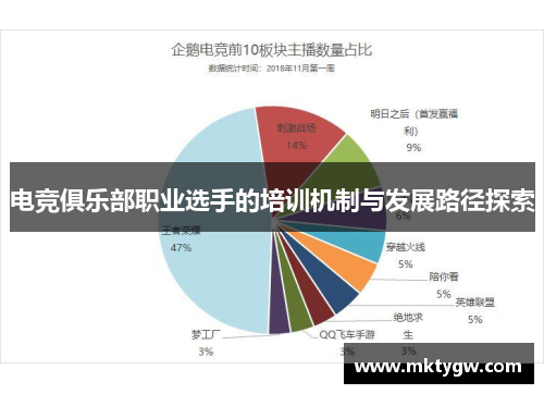 电竞俱乐部职业选手的培训机制与发展路径探索