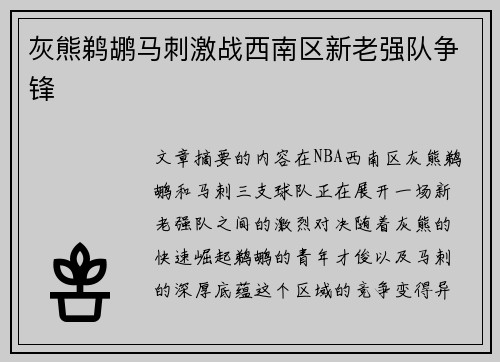 灰熊鹈鹕马刺激战西南区新老强队争锋