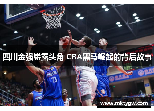 四川金强崭露头角 CBA黑马崛起的背后故事