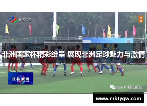 非洲国家杯精彩纷呈 展现非洲足球魅力与激情